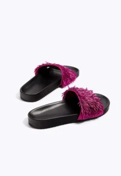 Oysho Appliqué Slides 11272280CiabattinePurple Donna Ciabatte E Zoccoli OY111A0CF-I11 -Fashion Brand 5a421c167c5d48cfb866d358765549d9