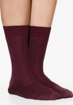 Oysho Silk Classic - Calze - Brown